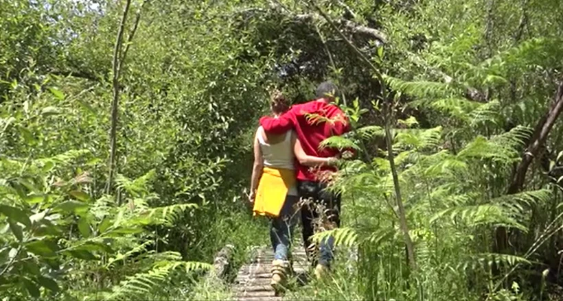 השטח שרכש תמיר בורנשטיין, פורטוגל