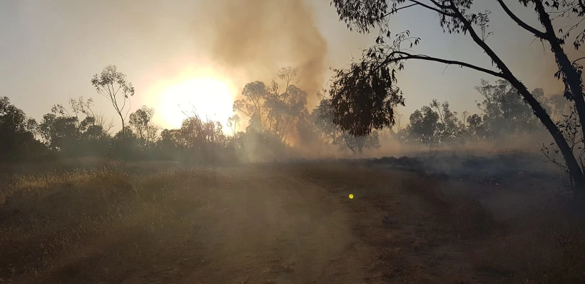 נזקי השריפה ביער בארי