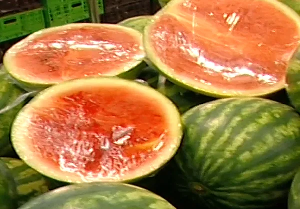 אבטיחים, אבטיח