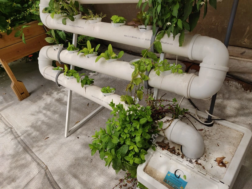 068b0df5 9e44 4b16 Ae83 689276