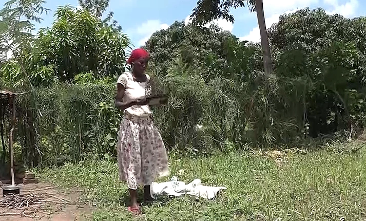 האבאיודאיה, אוגנדה