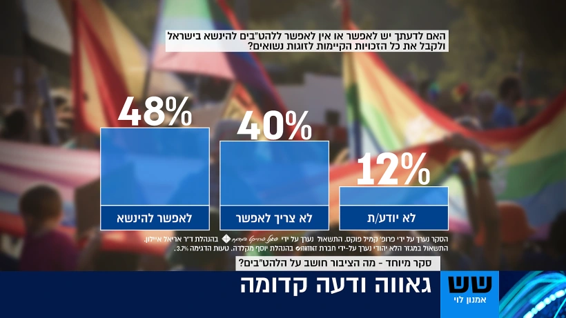 סקר גאווה - אמנון לוי