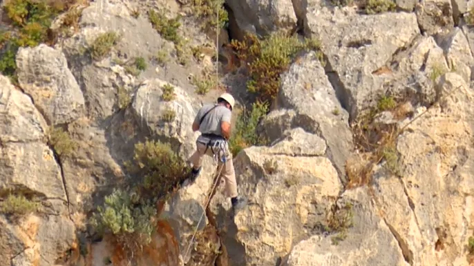 חילוץ גוזל נשר בכרמל