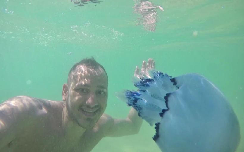 מדוזות לחופי ישראל