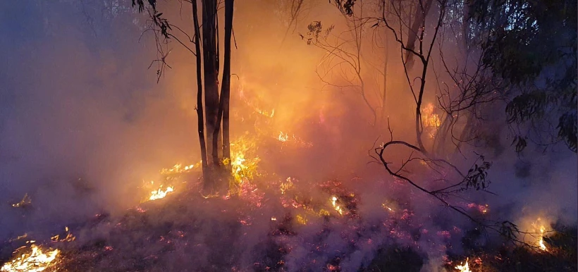 שריפה בעוטף עזה