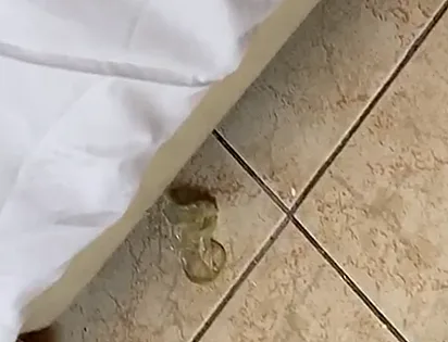 אמצעי מניעה שנמצא בחדר המלון באייה נאפה שבו לכאורה בוצע האונס