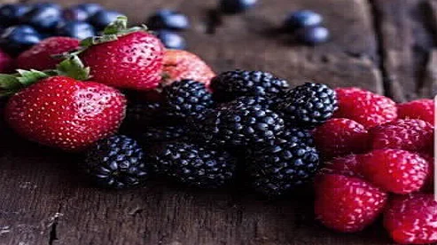 קטיף פירות יער בחוות הסוס והדובדבן