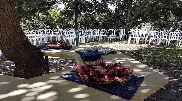 אצל אטל בחצר