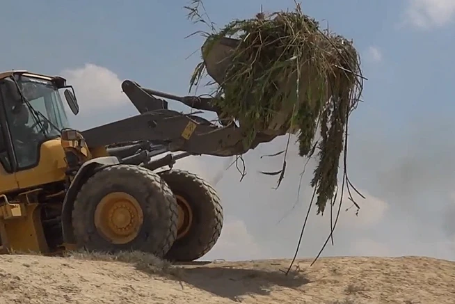 מחסלי הקנאביס בשטחי האש של צה''ל