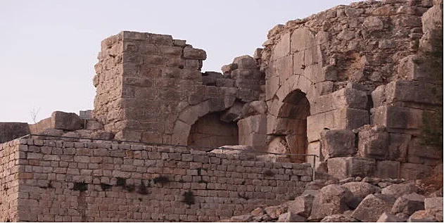 קיץ של אריות במבצר נמרוד