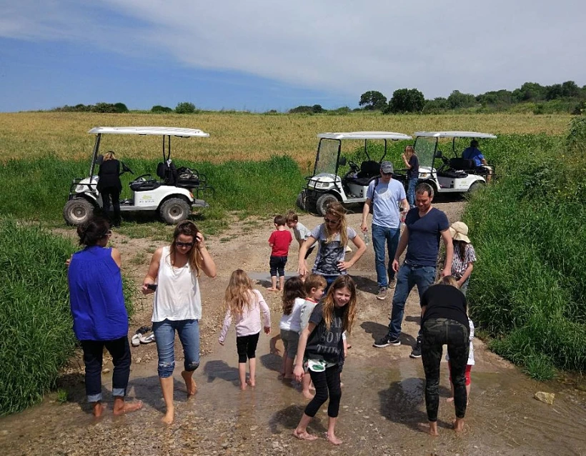 טוקטוק אלונה