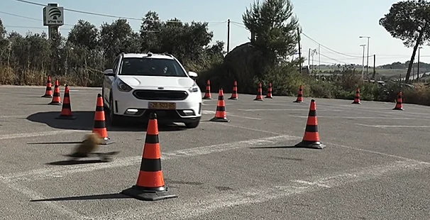 ניסוי הנהיגה הגדול