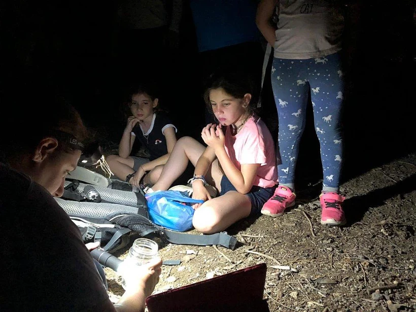 בעקבות חיי הלילה בגולן