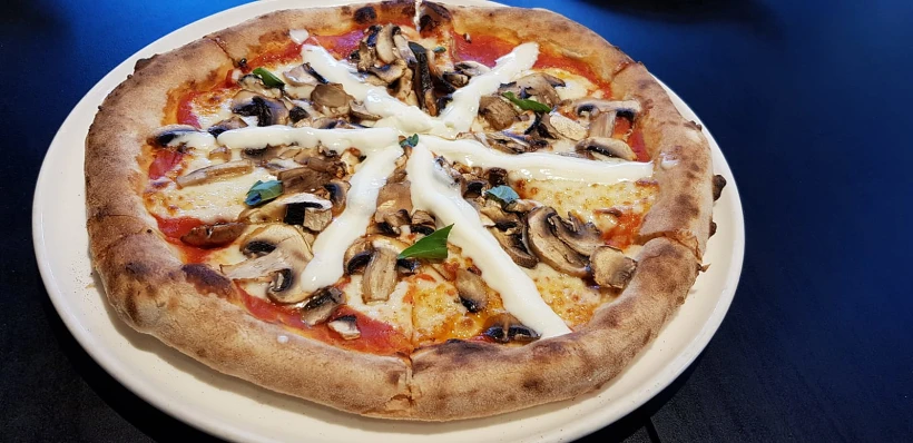 Whatsapp Image 2019 08 13 At 1