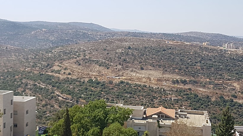 אזור הפיגוע בסמוך לדולב