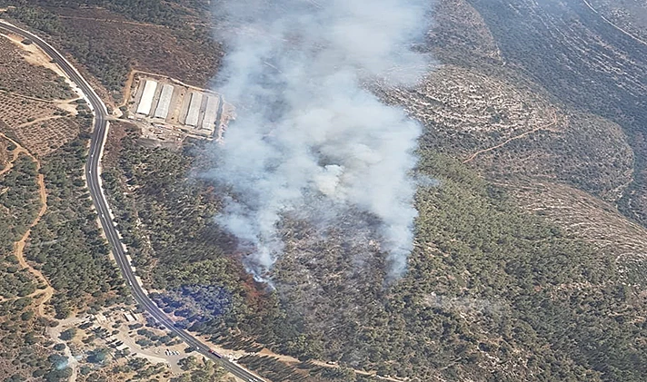 שריפת יער ליד בית שמש כביש 375