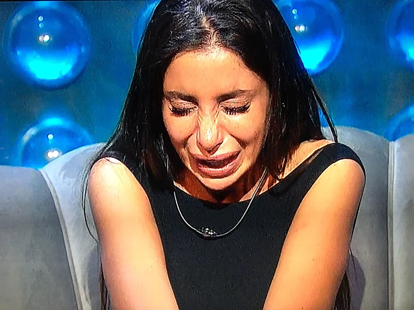 צער בעלי חיים (צילום מסך )