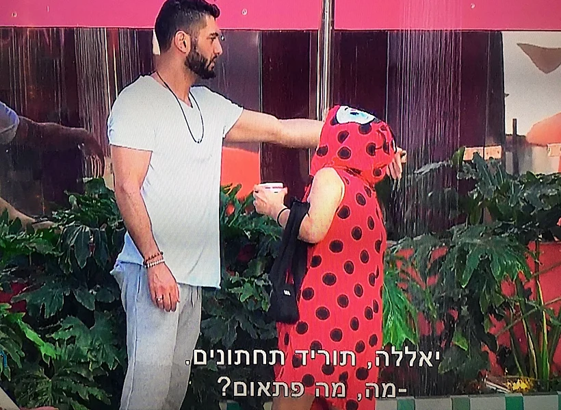 מתחת לחיפושית - לא אינה #metoo (צילום מסך )