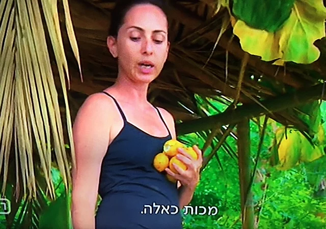 הישרדות