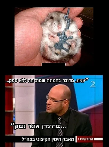 מם על כלב במדי קצין שהופיע בחדשות 2