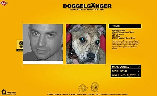 לאיזה כלב אתם דומים?