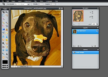 אתר לעריכת תמונות ברשת Pixlr