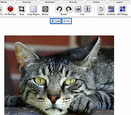 אתר לעריכת תמונות ברשת FotoFlexer