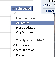 מדריך עדכונים מחברים