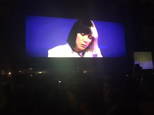 מתוך ההופעה של סיה