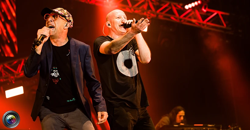 אינפקטד חוגגים 20