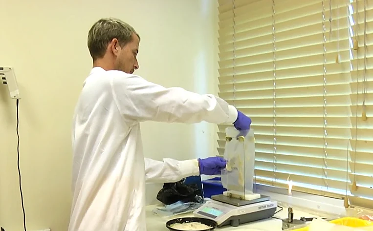 בדיקת מזון במעבדה