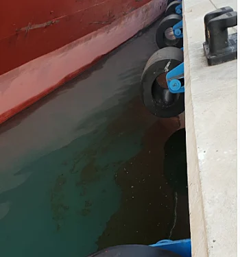 כתמי שמן צמחי במי נמל חיפה