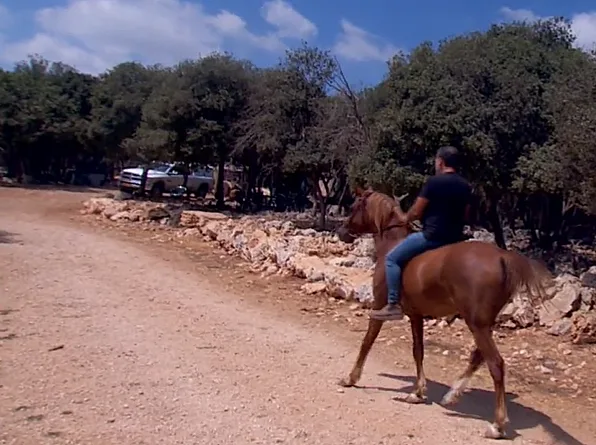 מיכה רגב, על הסוס שלו במצפה אבירים