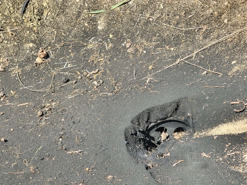 רקטה נחתה בחממה במועצה האזורית חוף אשקלון