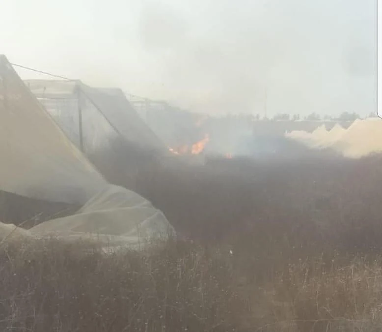 שריפה במועצה האזורית אשכול