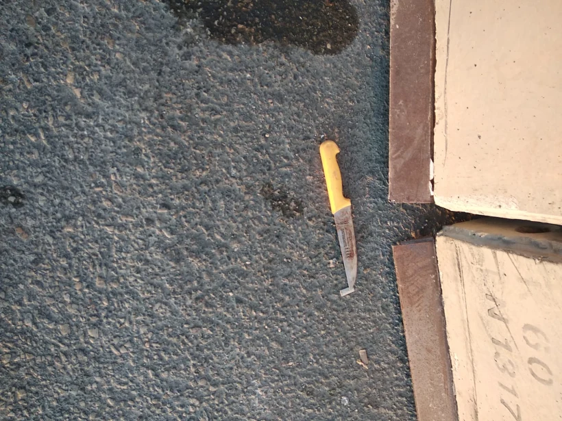 סכין המחבלת מקלנדיה