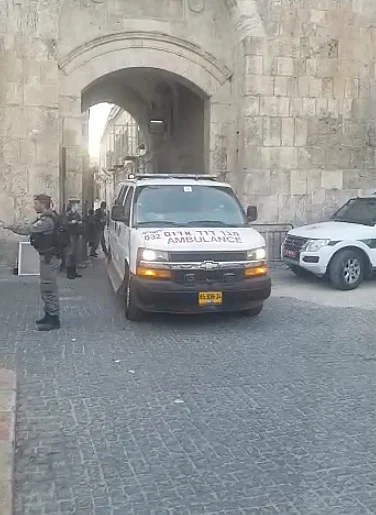 כוחות הביטחון בזירה