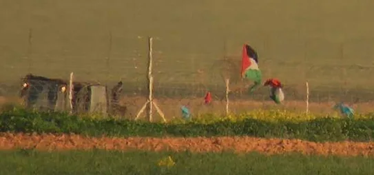 דגלי פלסטין שנתלו על הגדר בגבולת רצועת עזה