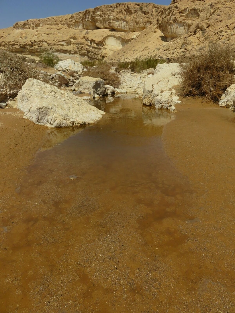 הזיהום בנחל אשלים, יום לאחר הדליפה ממפעל ''רותם דשנים''