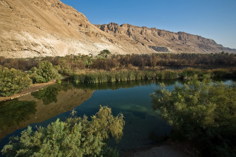 שמורת עינות צוקים