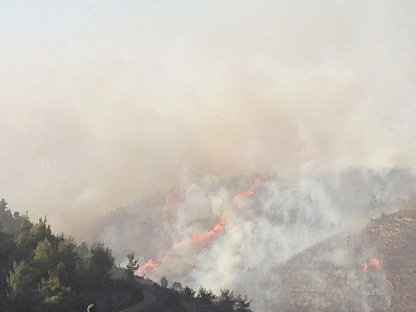 שריפה במעלה החמישה