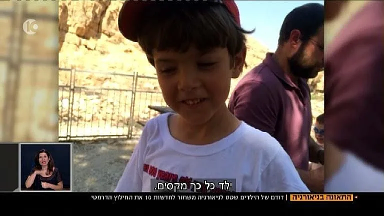 נבו גרינפלד ז