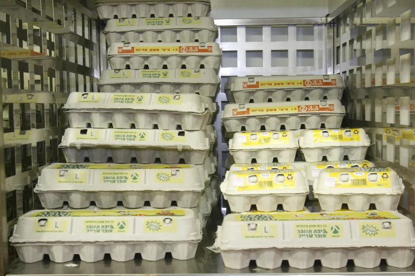 תבניות ביצים בשופרסל דיל ברמת גן: ביצי תנובה ביצי משק טריות, ביצת תנובה סופר טרייה בגודל ענק L,