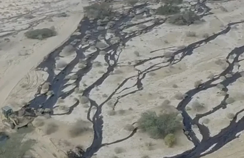 כתמי הנפט בשמורת עברונה, לאחר דליפת הדלק הגדולה בערבה
