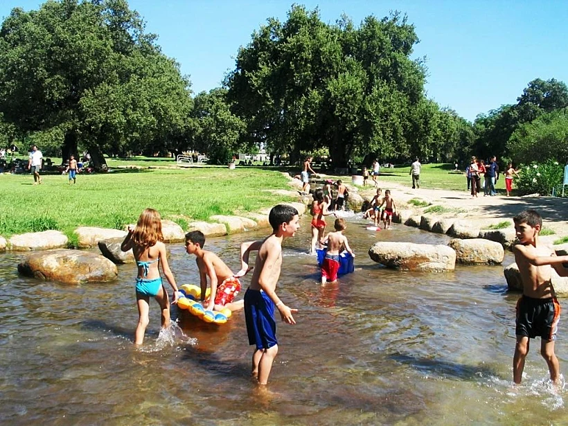 מטיילים בחורשת טל