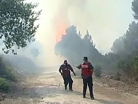 שריפה בטבעון
