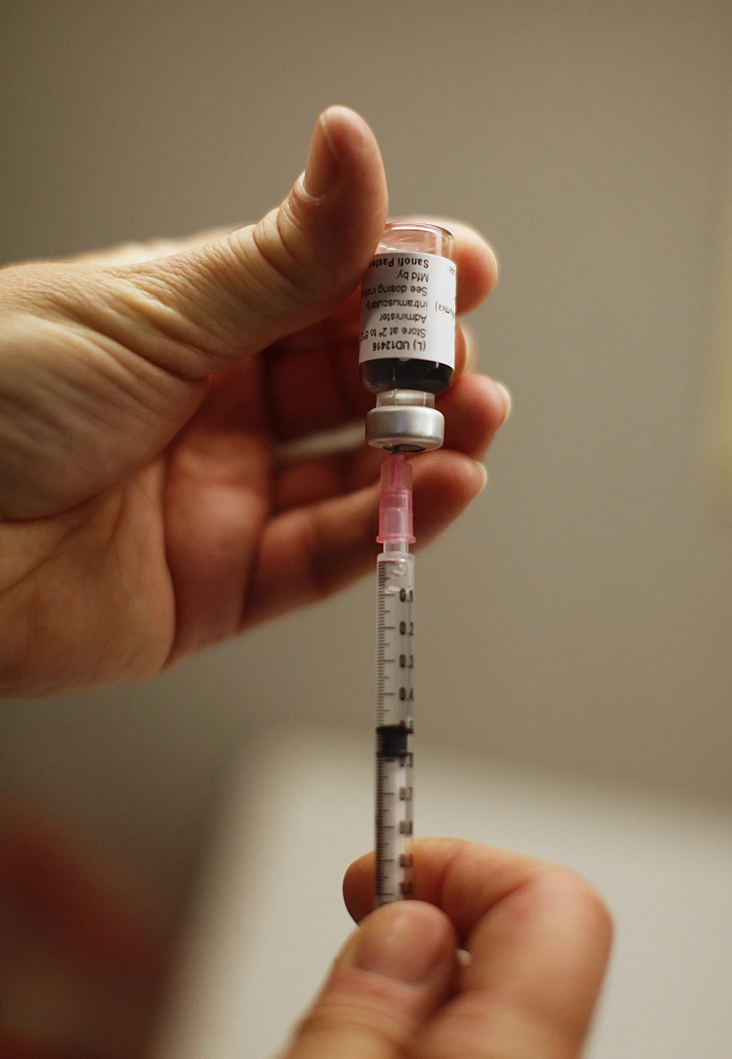 שפעת החזירים