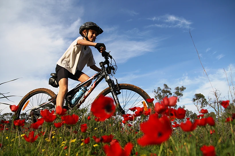 במסגרת פסטיבל