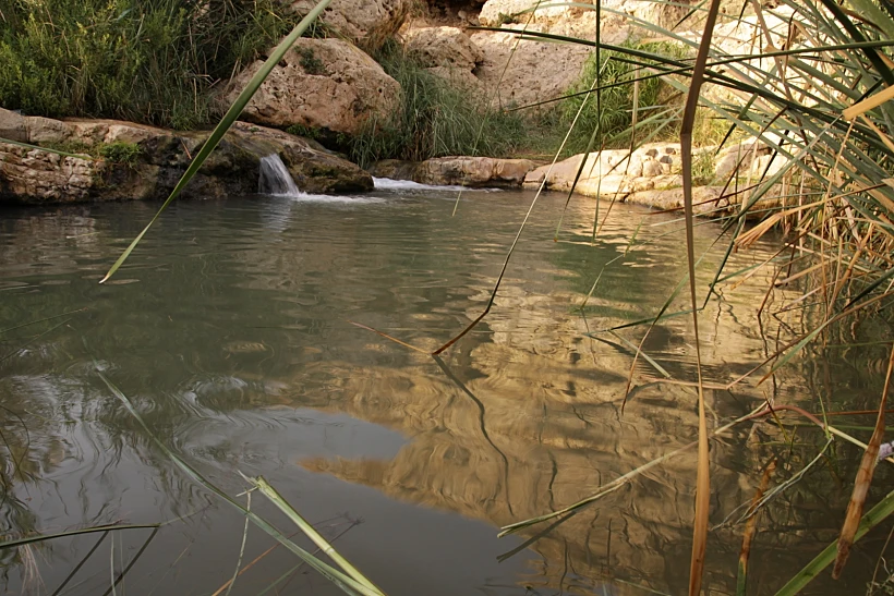 בשמורת הטבע