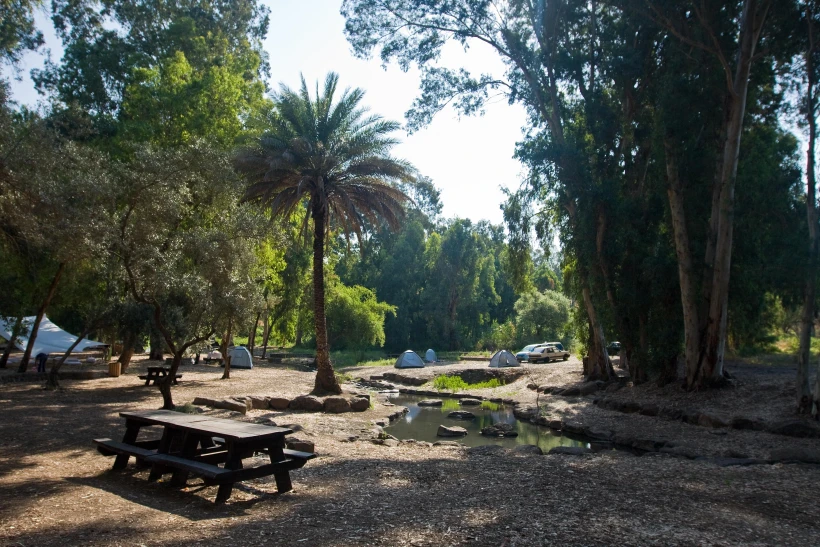 מעיין בפארק הירדן